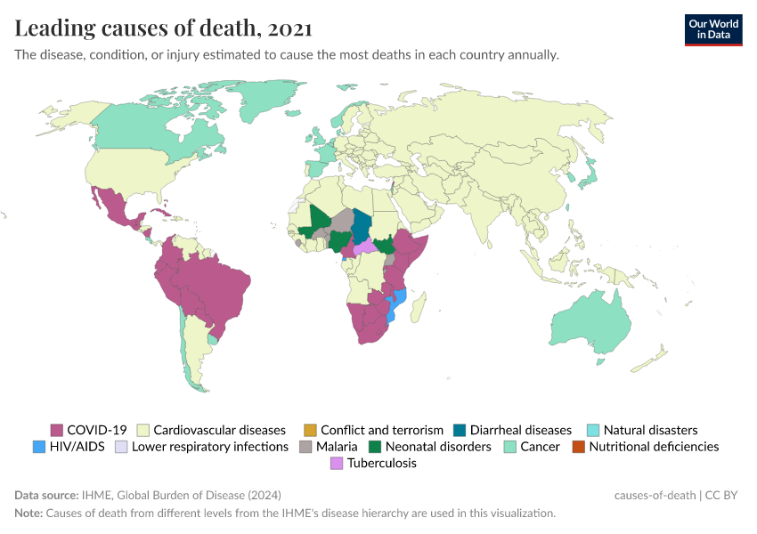 A thumbnail of the "Leading causes of death" chart