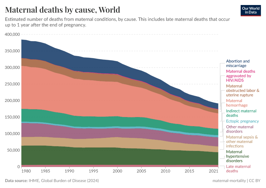A thumbnail of the "Maternal deaths by cause" chart