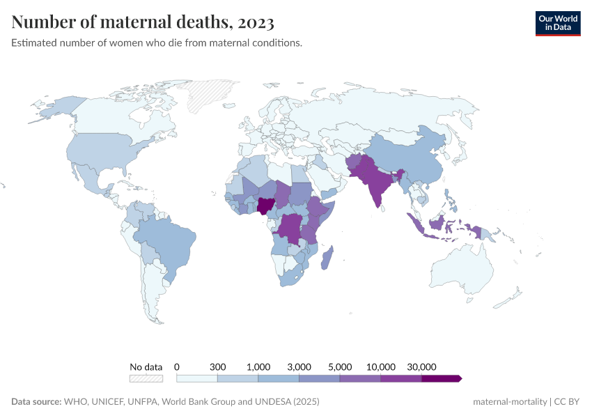 A thumbnail of the "Number of maternal deaths" chart