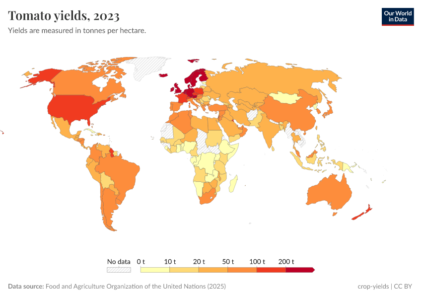A thumbnail of the "Tomato yields" chart