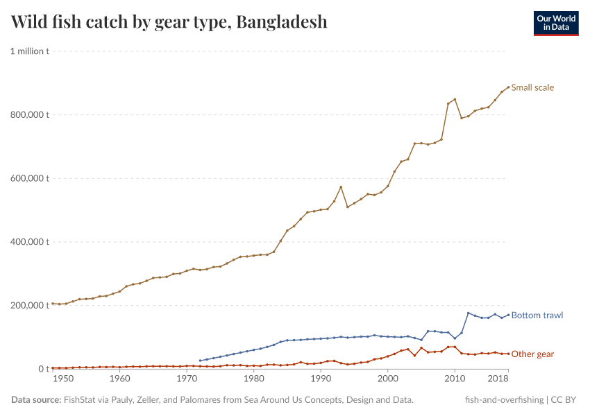 Wild fish catch by gear type